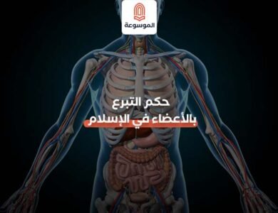 حكم التبرع بالأعضاء في الإسلام