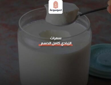 سعرات الزبادي كامل الدسم