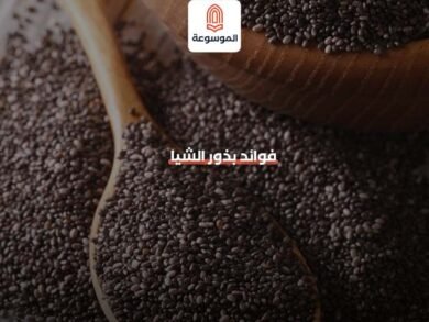 ما هي بذور الشيا