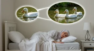 معنى رؤية البط يسبح في المنام