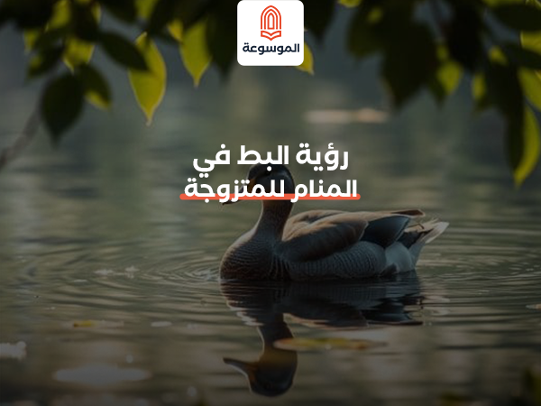 رؤية البط في المنام للمتزوجة