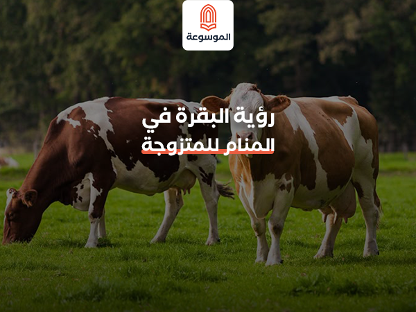 رؤية البقرة في المنام للمتزوجة