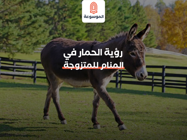 رؤية الحمار في المنام للمتزوج