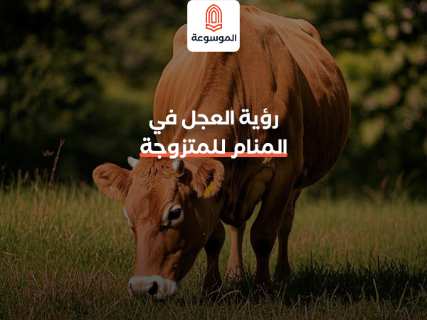 رؤية العجل في المنام للمتزوجة