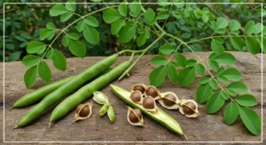 ما هي عشبة المورينجا؟