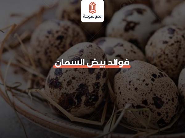 فوائد بيض السمان