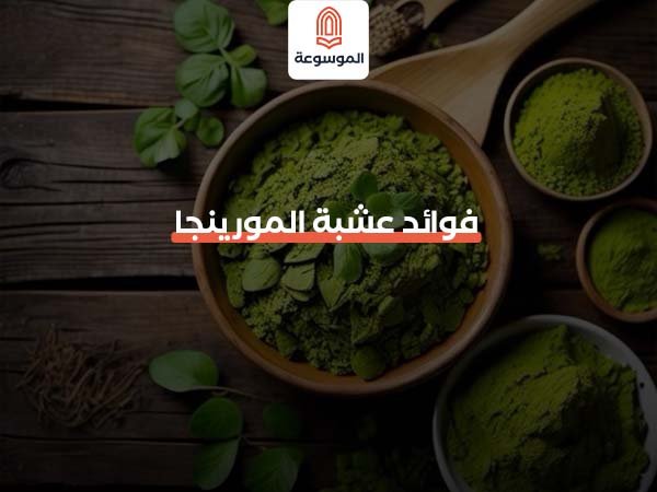 فوائد عشبة المورينجا
