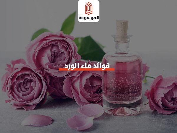 فوائد ماء الورد