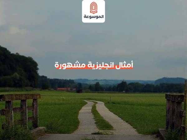 أمثال إنجليزية مشهورة