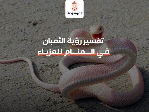 الثعبان في المنام للعزباء