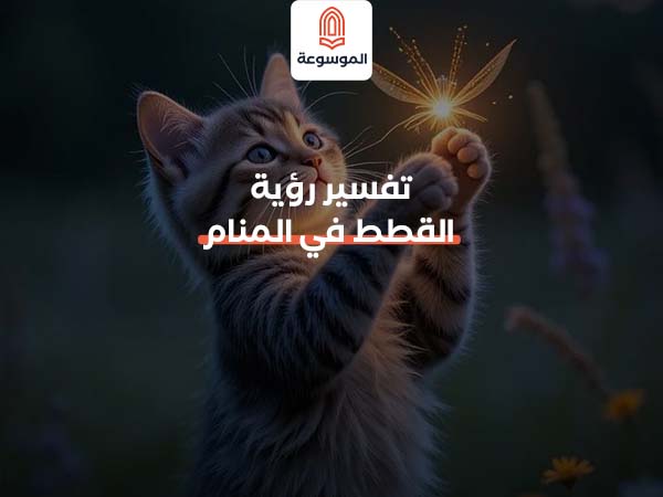 تفسير رؤية القطط في المنام