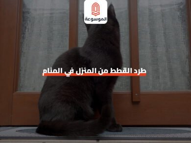 طرد القطط من المنزل في المنام