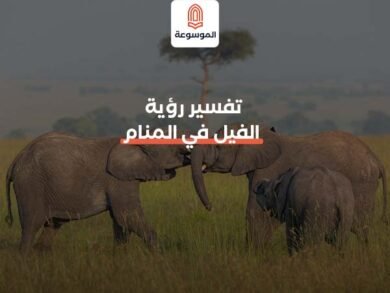تفسير حلم الحمل للعزباء: بين الرغبة والخوف - رموز ومعاني حلم الحمل