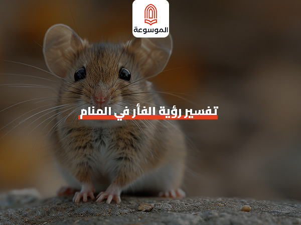 تفسير رؤية الفأر في المنام