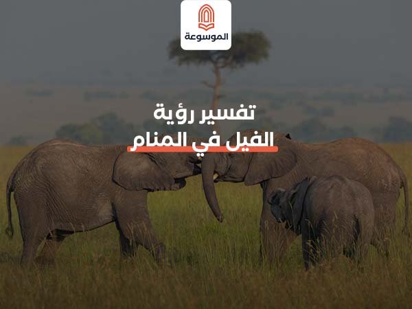 تفسير رؤية الفيل في المنام