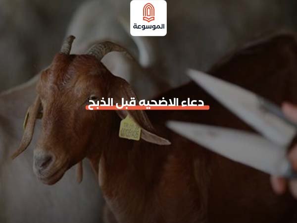 دعاء الاضحيه قبل الذبح