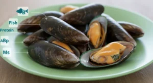 القيم الغذائية في بلح البحر