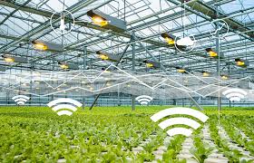 تكنولوجيا الزراعة الذكية لتحسين الإنتاج الزراعي