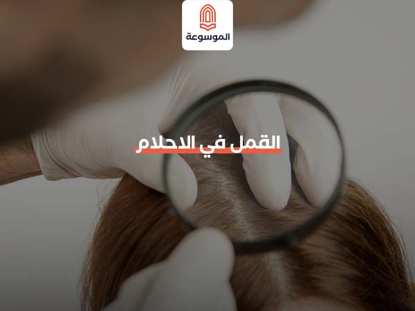 القمل في الاحلام