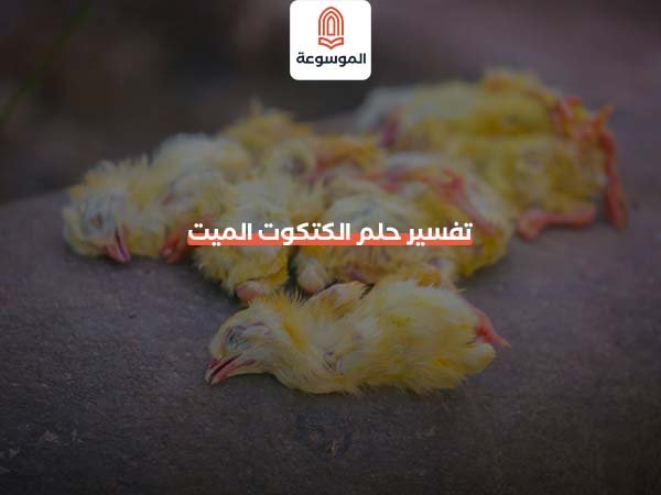 تفسير حلم الكتكوت الميت