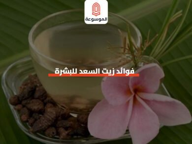 فوائد زيت السعد للبشرة