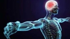 أمراض الجهاز العصبي