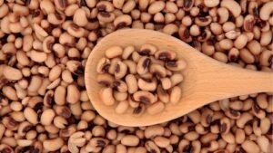 خطوات عمل اللوبيا