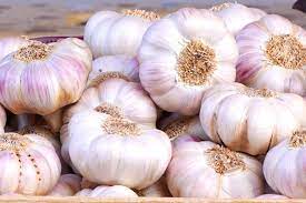 الأضرار المحتملة لتناول الثوم