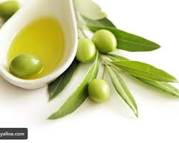 التفاعلات الدوائية مع ورق الزيتون