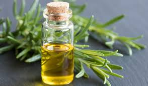 كيفية استخدام زيت اكليل الجبل للبشرة