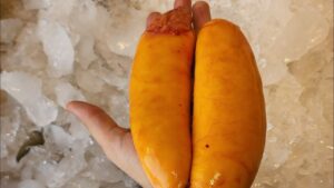 نصائح لاختيار البطارخ البوري الجيدة