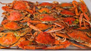 نصائح لطهي الكابوريا بشكل مثالي