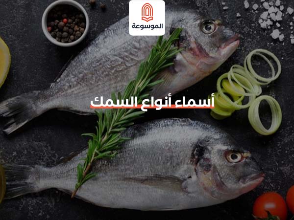 أسماء أنواع السمك