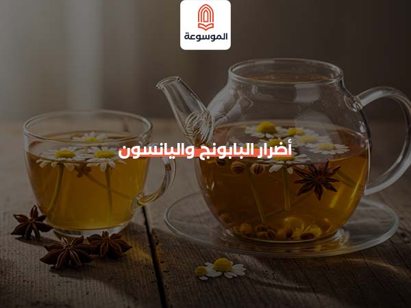 أضرار البابونج واليانسون