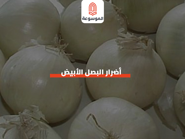 أضرار البصل الأبيض
