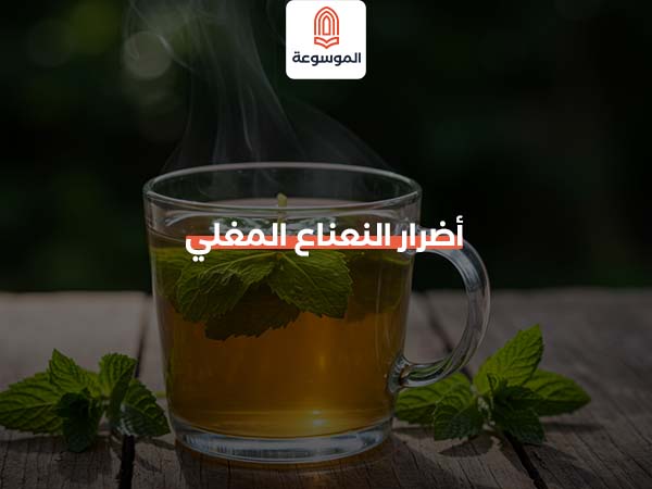 أضرار النعناع المغلي