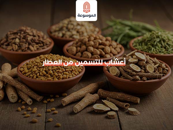 أفضل وقت لتناول بذور الشيا