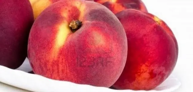 تفسير اكل الخوخ عند كبار المفسرين (ابن سيرين والنابلسي)