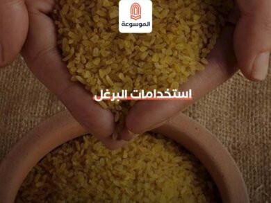 استخدامات البرغل