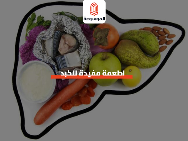 اطعمة مفيدة للكبد