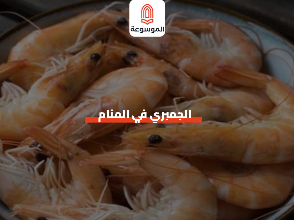 الجمبري في المنام