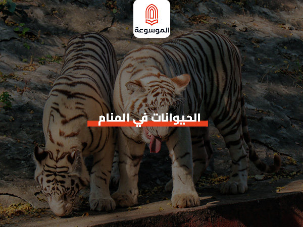 الحيوانات في المنام