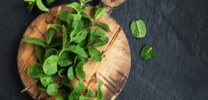 أخطاء شائعة في تخزين النعناع