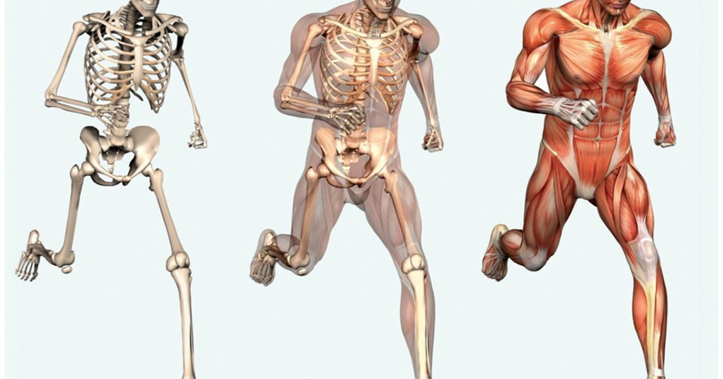 أهمية بذور اليقطين لصحة العظام