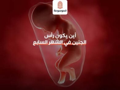 اين يكون رأس الجنين في الشهر السابع