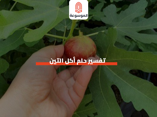 تفسير حلم أكل التين