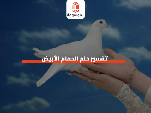 تفسير حلم الحمام الأبيض