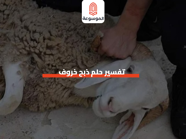 تفسير حلم ذبح خروف