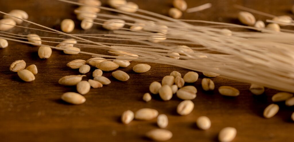 فوائد الشعير للجهاز العصبي