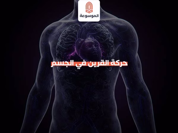 حركة القرين في الجسم